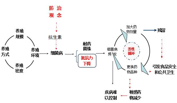 有效防控疾病成就健康生態(tài)養(yǎng)殖